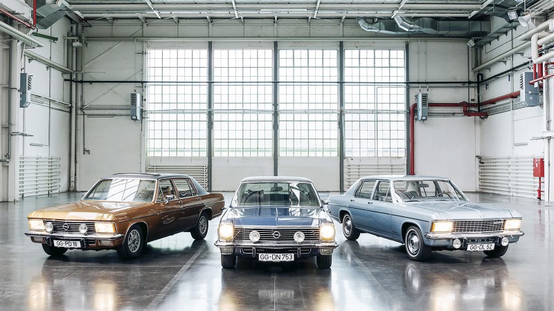 A híres felmenők - galéria